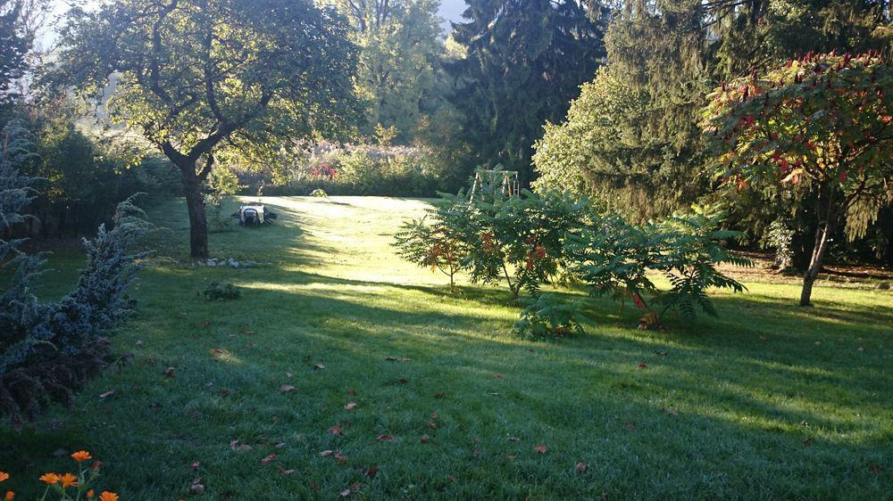 A La Grenouille Du Jura Hotel Bellignat Buitenkant foto