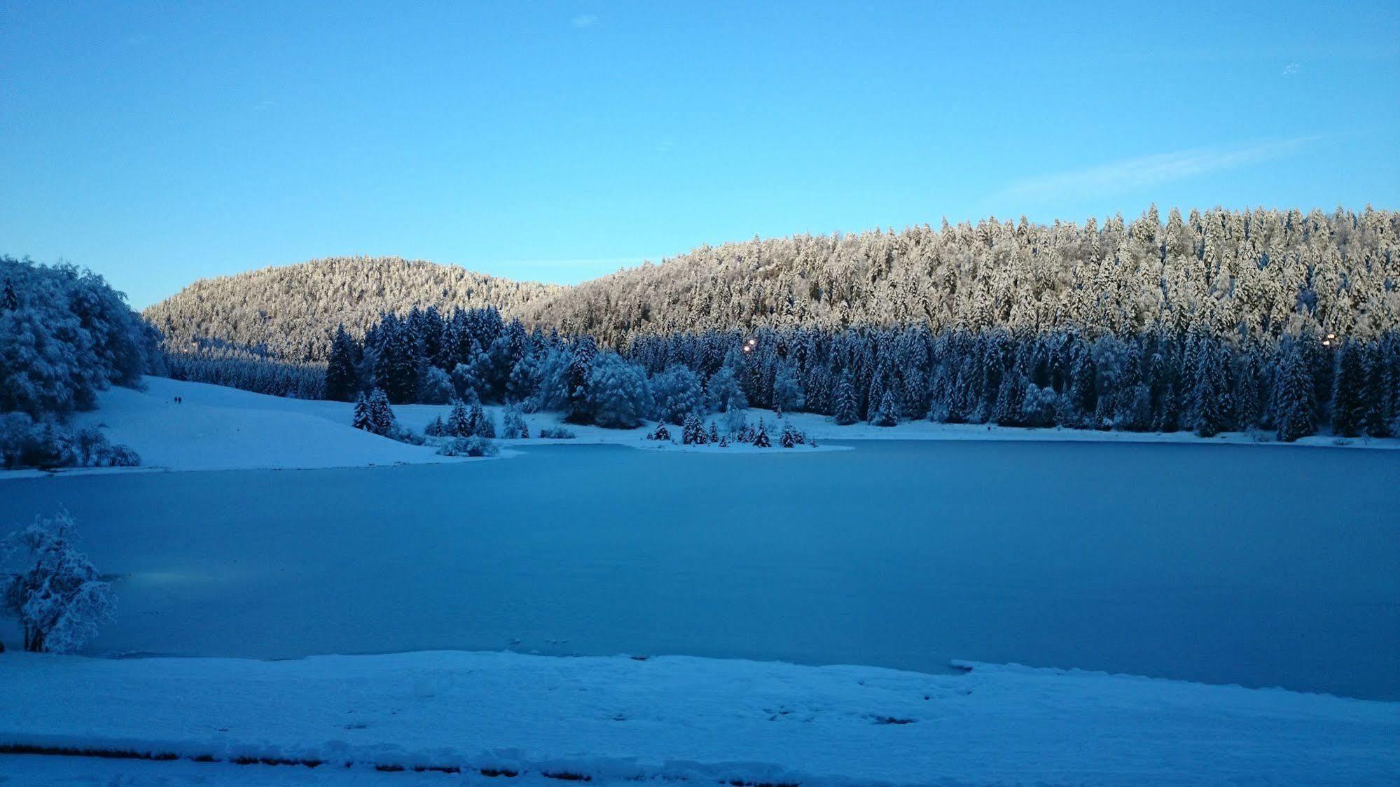 A La Grenouille Du Jura Hotel Bellignat Buitenkant foto