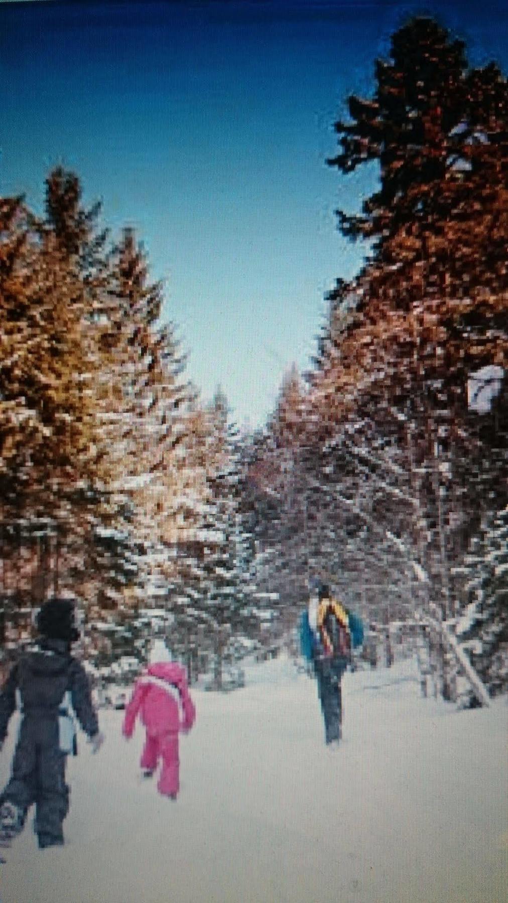 A La Grenouille Du Jura Hotel Bellignat Buitenkant foto